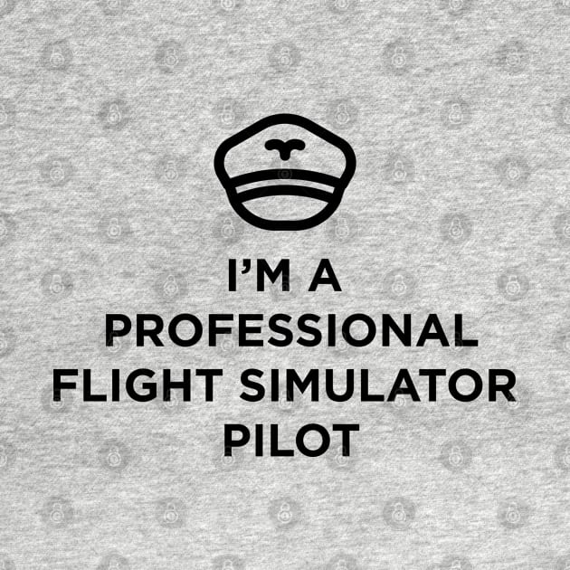 Professional Flight Sim Pilot by peerluk